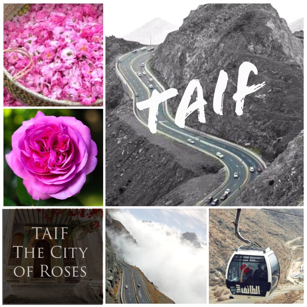 เปิดเมืองกุหลาบงาม “ทาอีฟ” (TAIF)