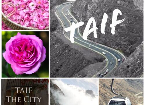 เปิดเมืองกุหลาบงาม “ทาอีฟ” (TAIF)