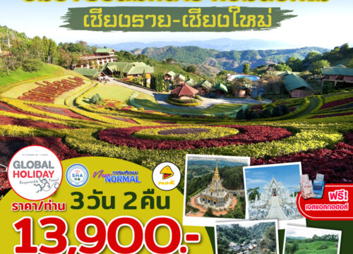 ชิมชา รับลมหนาว หอมดอกไม้